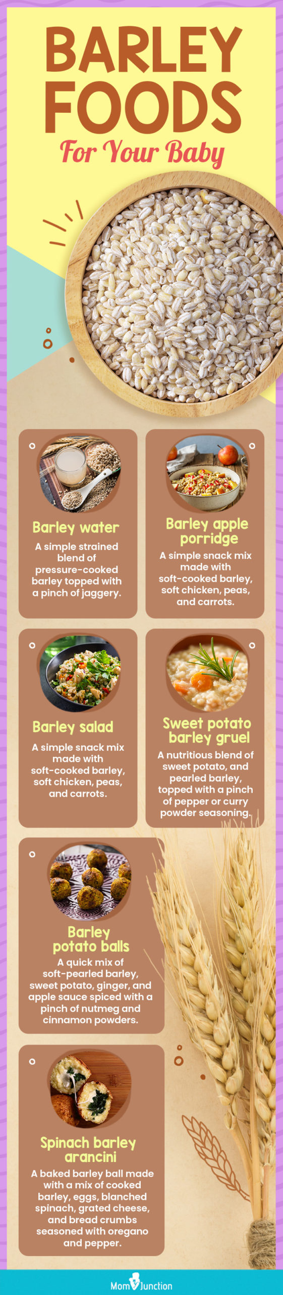 barley foods for your baby (infographic) 