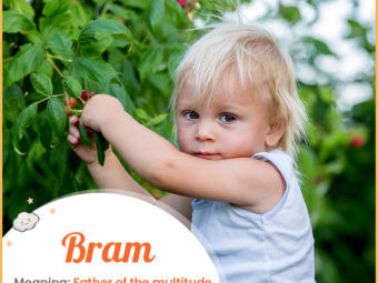 Bram, an abbreviated Biblical name