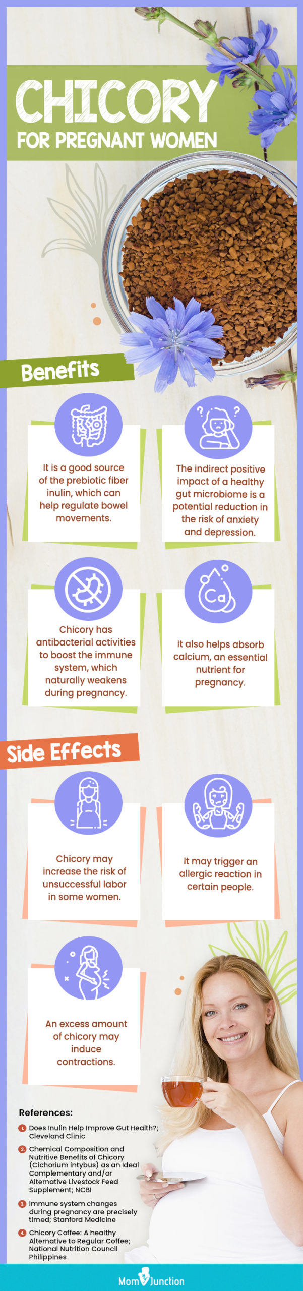 chicory for pregnant women (infographic) 