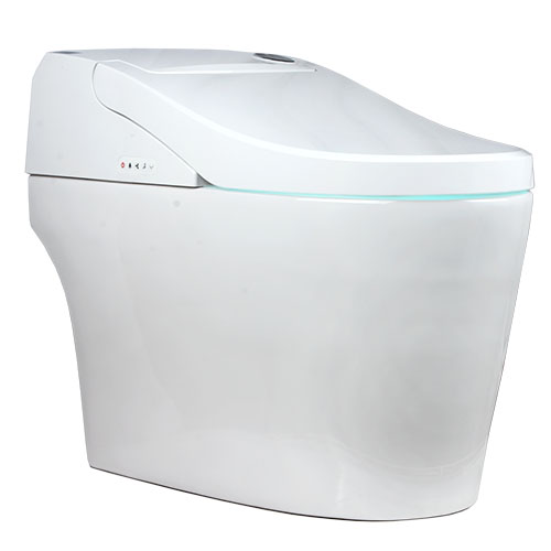 Euroto One-Piece Smart Toilet