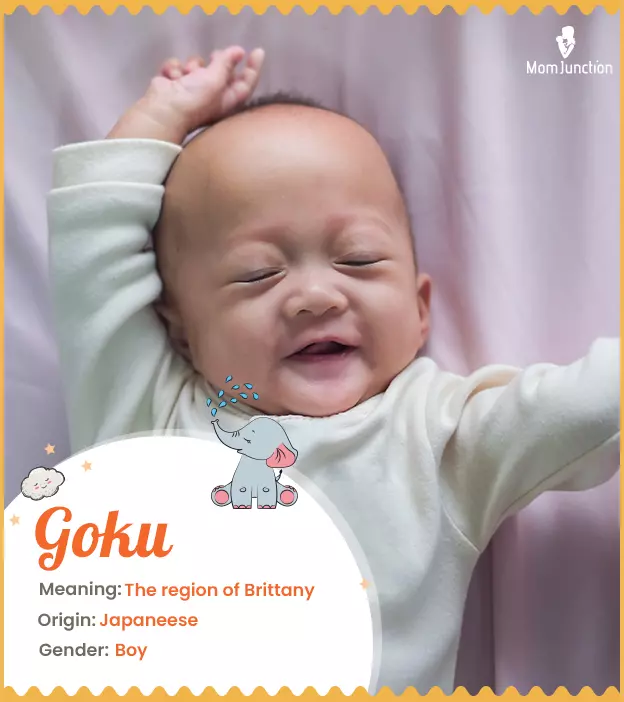 Goku Name Meaning, Origin, History, And Popularity | MomJunction