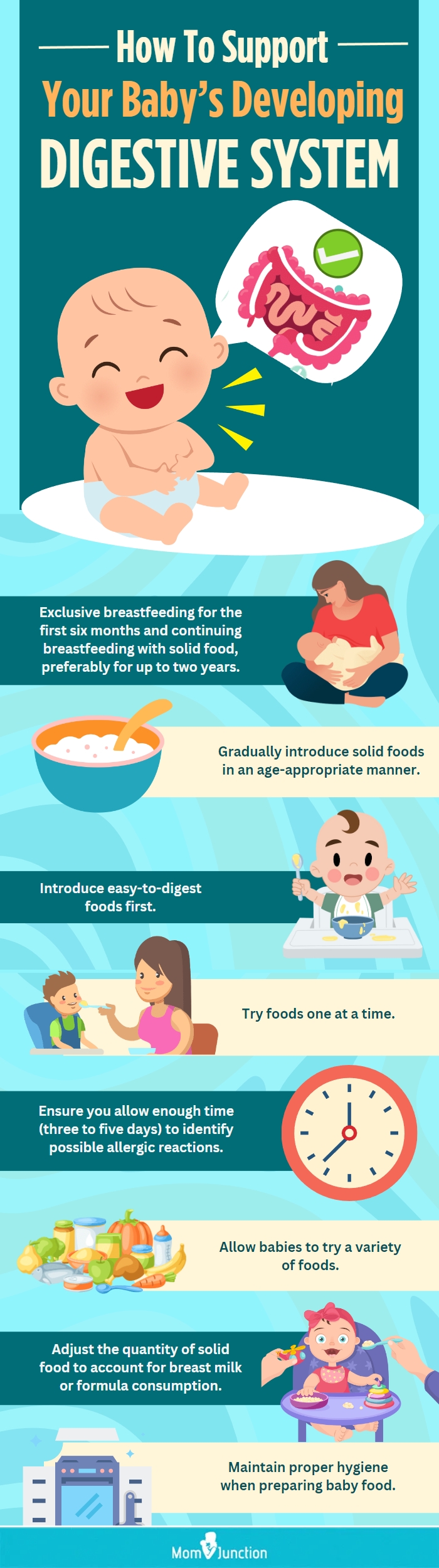 how to support your babys developing digestive system(infographic)