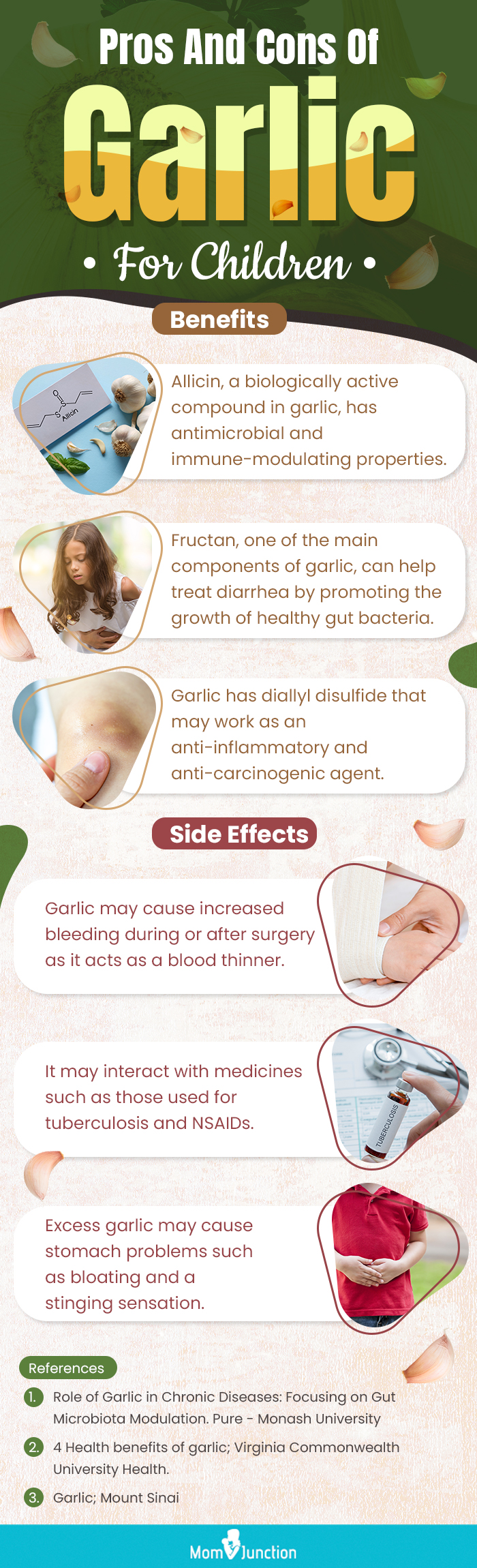 pros and cons of garlic for children (infographic)