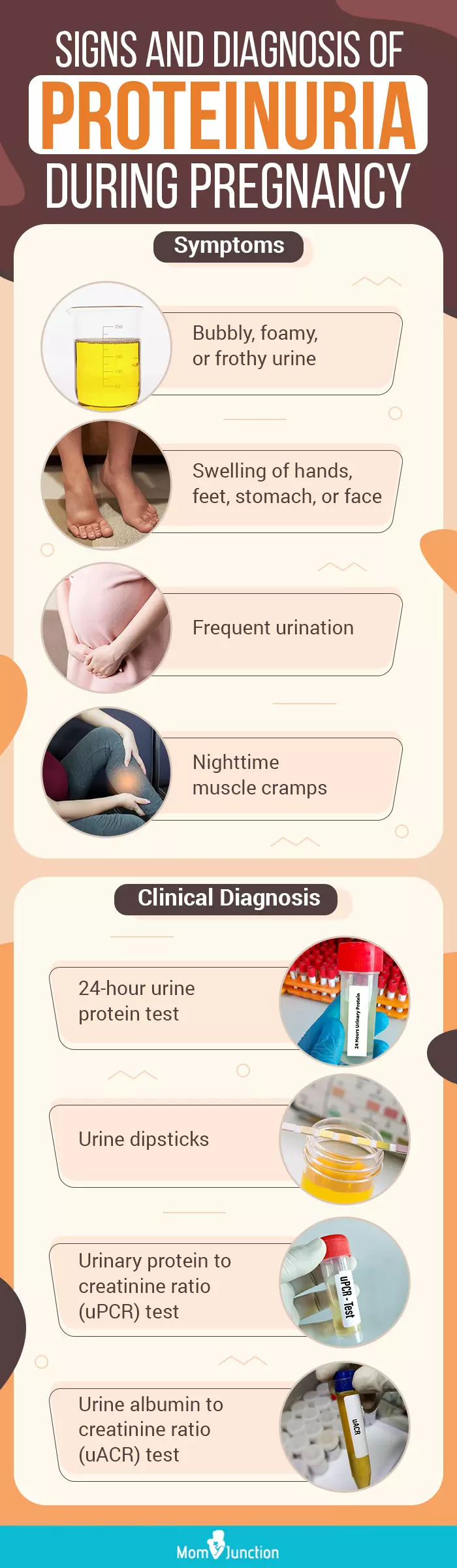 signs and diagnosis of proteinuria during pregnancy (infographic)