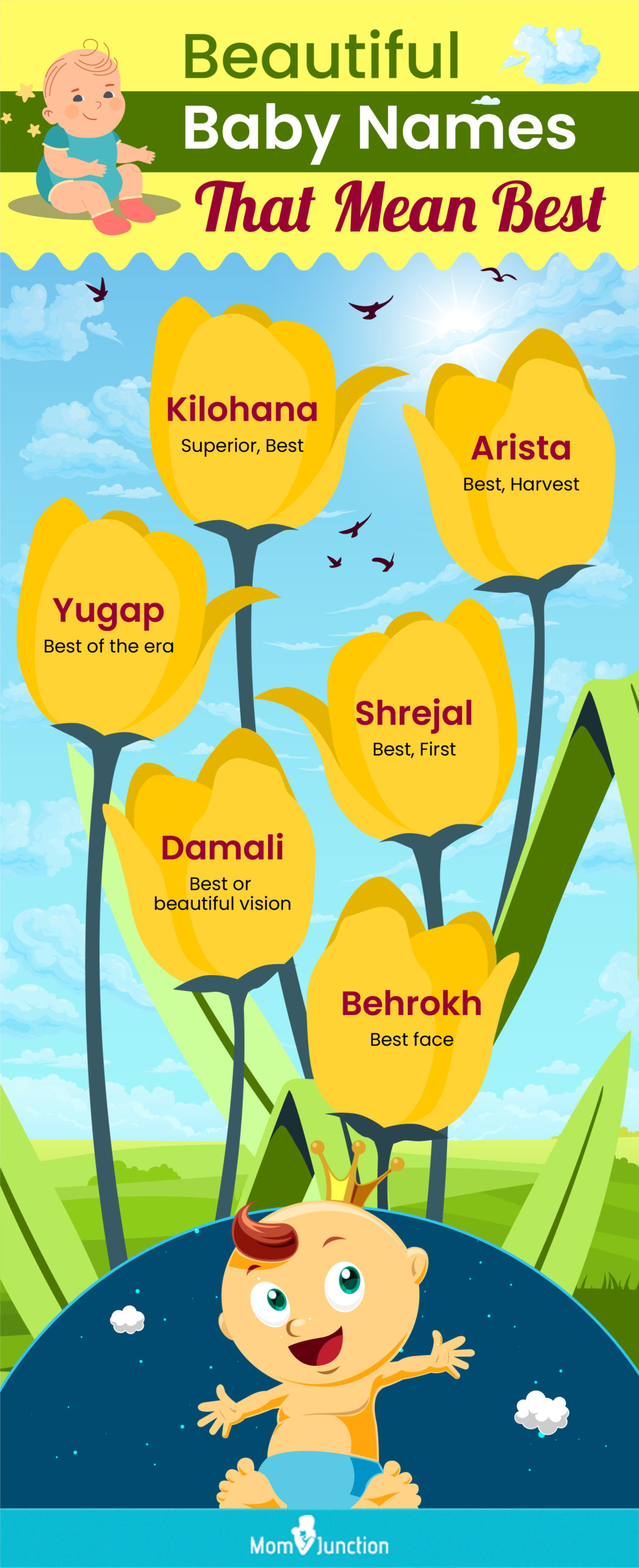 beautiful baby names that mean best (infographic)