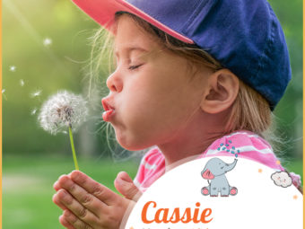 Cassie, a shining and unique name that exudes strength and confidence