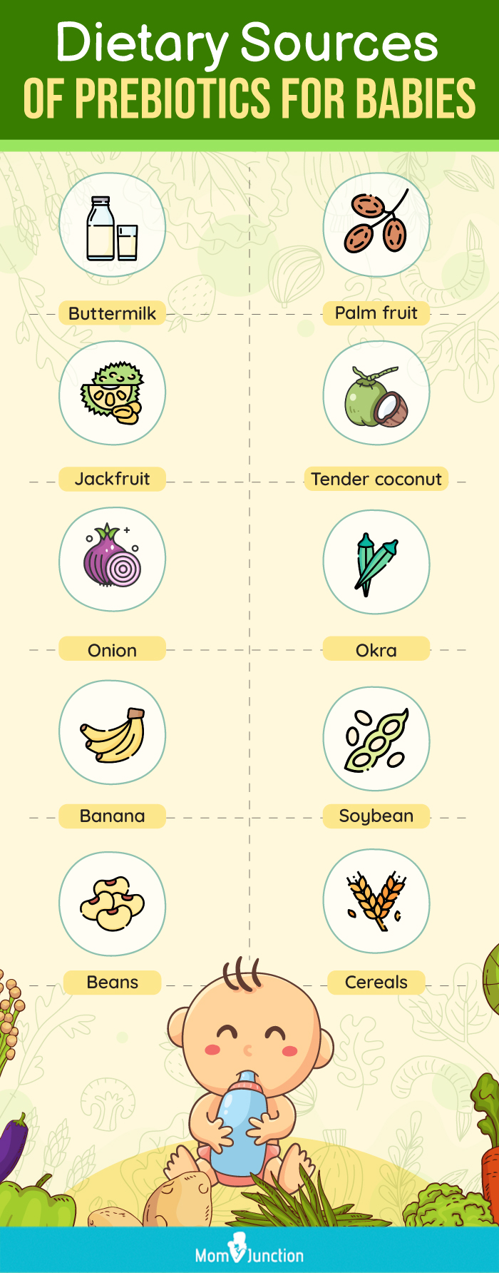 dietary sources of prebiotics for babies (infographic) 