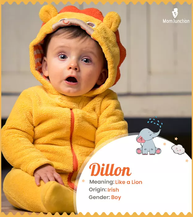 Dillon Name Meaning, Origin, History, And Popularity | MomJunction