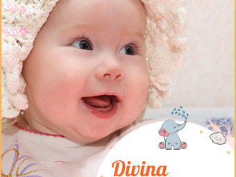 Divina means divine