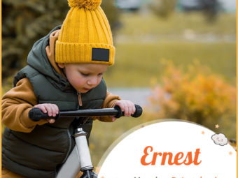 Ernest, meaning battle to the death, serious business.