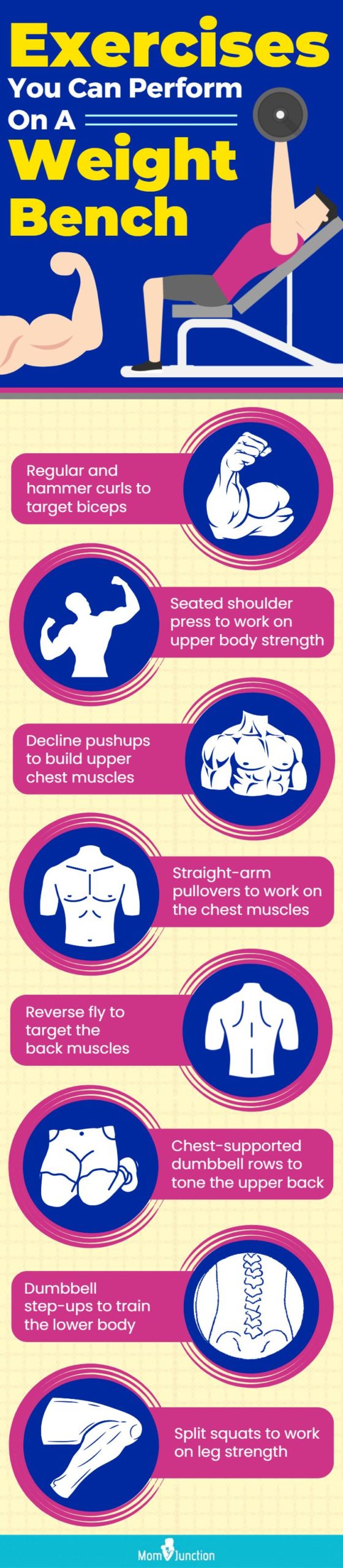 Exercises You Can Perform On A Weight Bench (infographic)