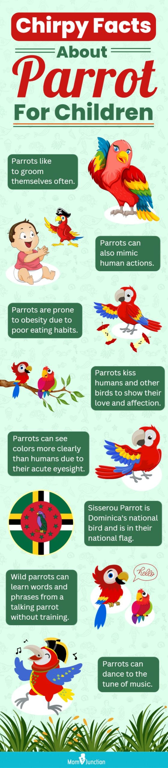 chirpy facts about parrot for children (infographic)