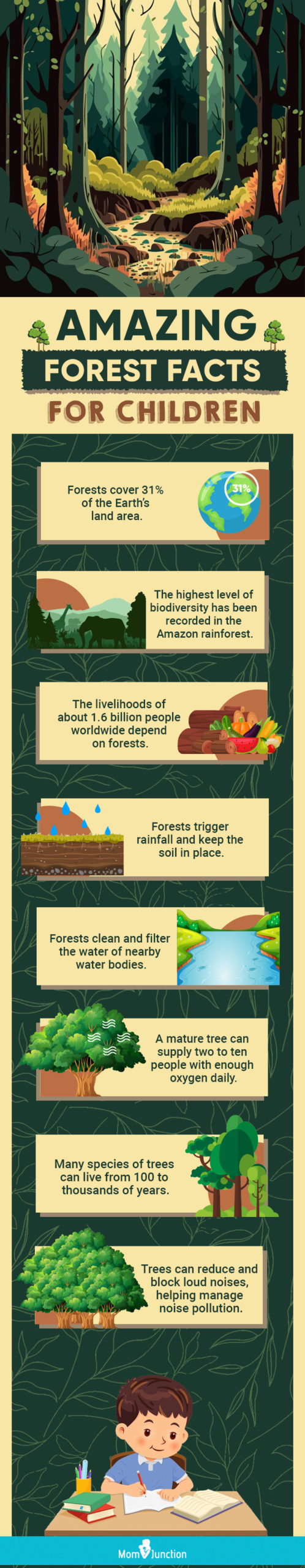 amazing forest facts for children (infographic)