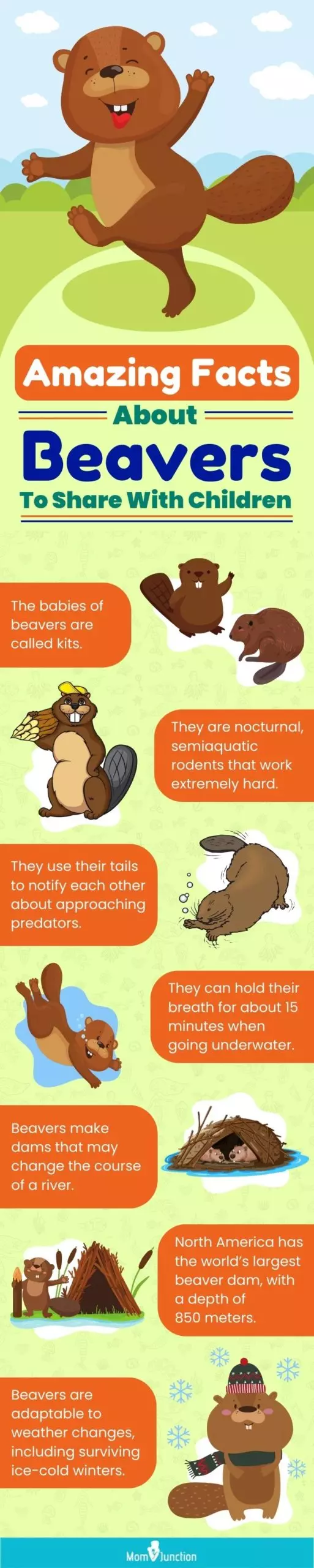 amazing facts about beavers to share with children (infographic)