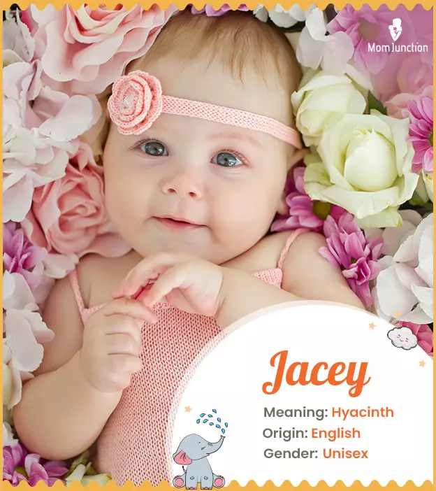 Jacey Name Meaning, Origin, History, And Popularity | MomJunction