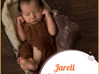 Jarell, a unique name meaning spear ruler