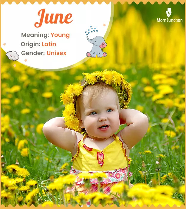 june-name-meaning-origin-history-and-popularity