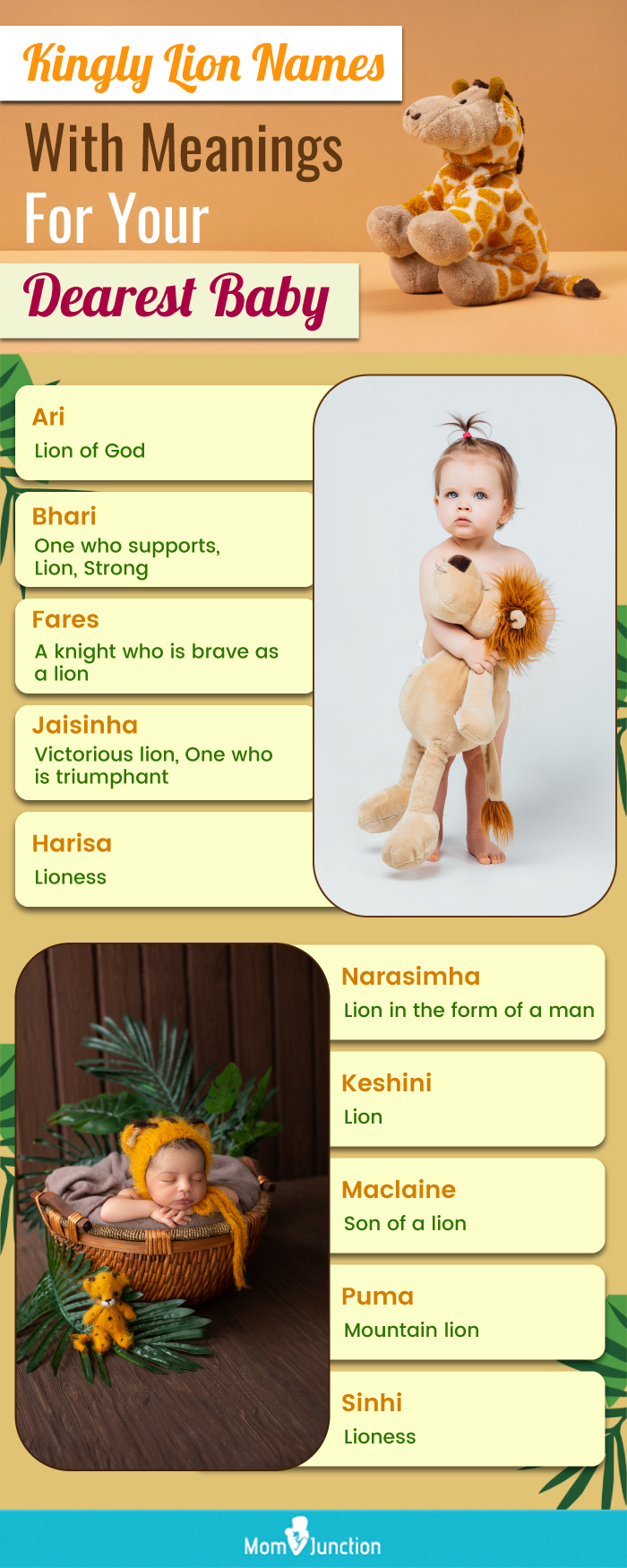 kingly lion names with meanings for your dearest baby (infographic)