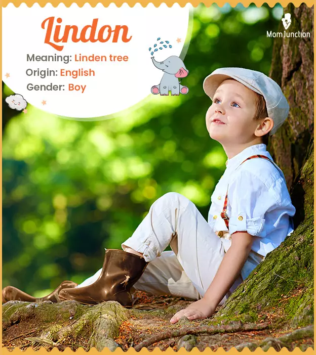 Lindon Name Meaning, Origin, History, And Popularity | MomJunction