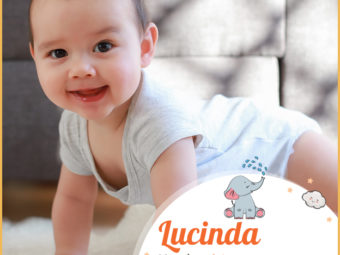 Lucinda, a Latin name