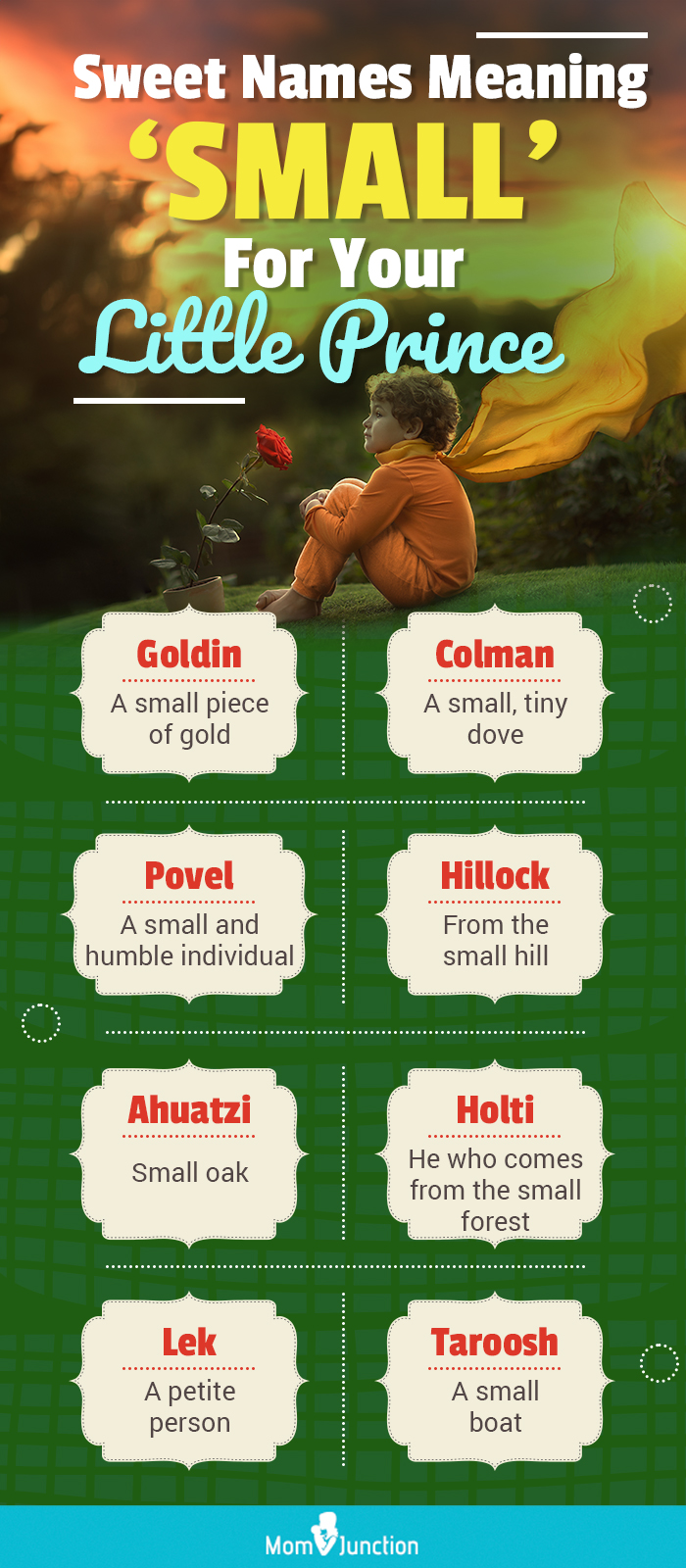 sweet names meaning small for your little prince (infographic)