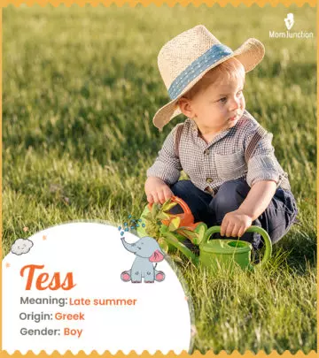 Tess, a Greek name
