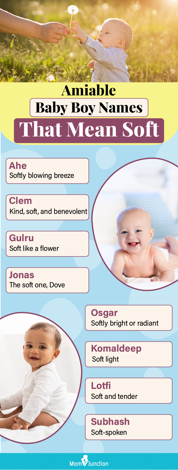 gracious baby boy names meaning soft (infographic)