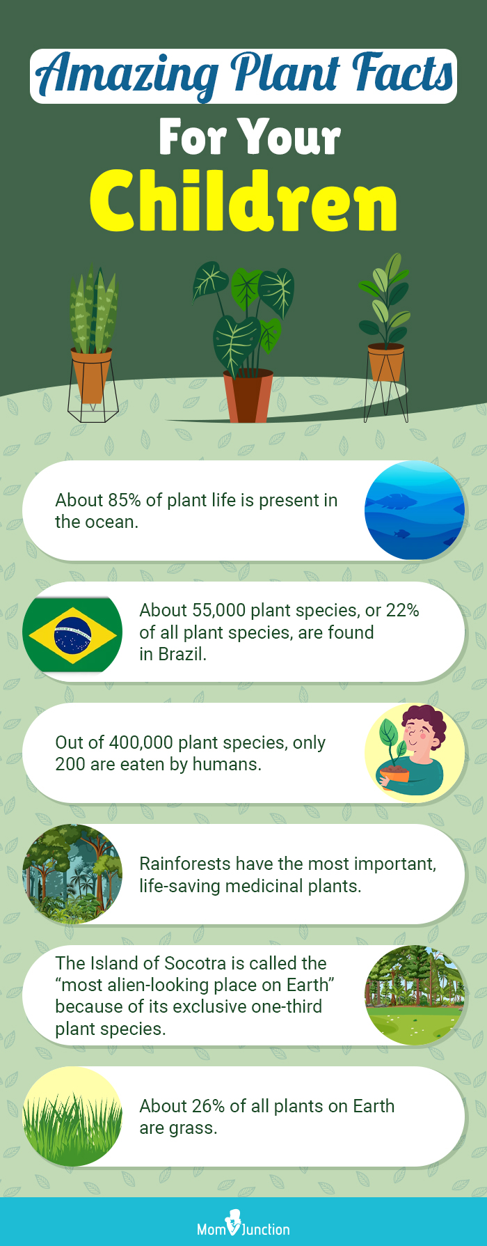 amazing plant facts for your children (infographic)