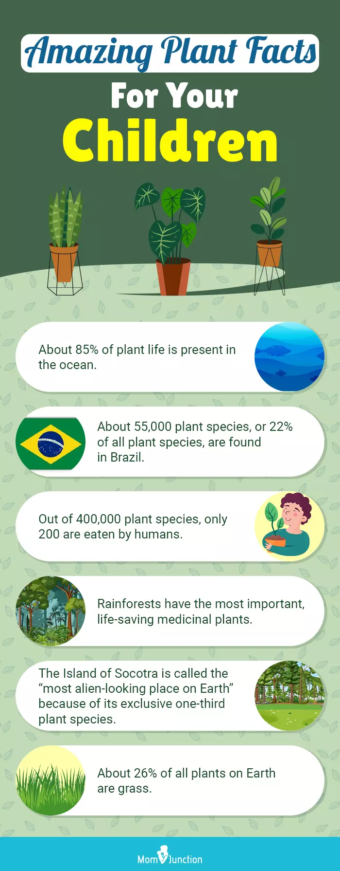 amazing plant facts for your children (infographic)