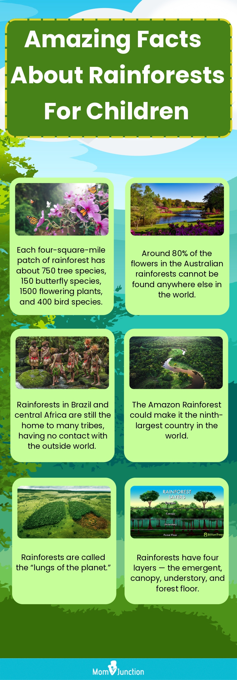 amazing facts about rainforests for children (infographic)