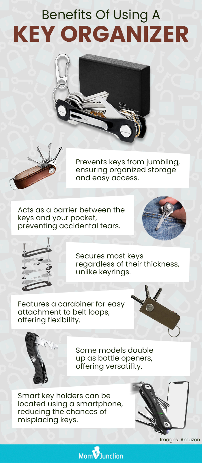 Benefits Of Using A Key Organizer (infographic)