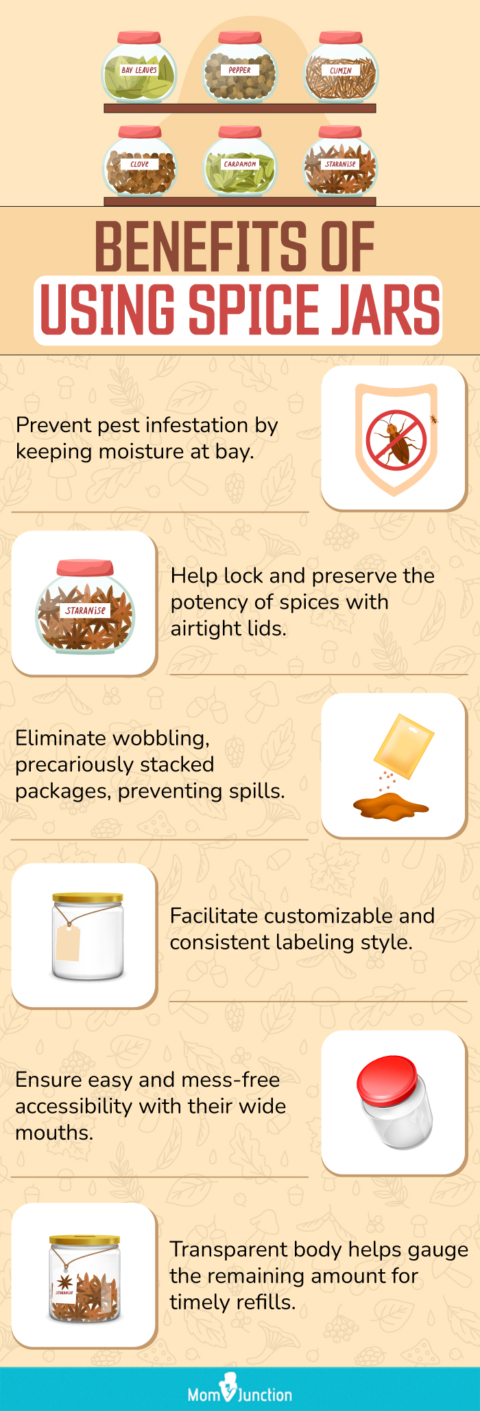Benefits Of Using Spice Jars (infographic)