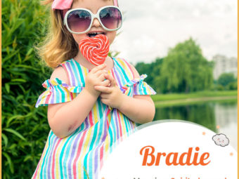 Bradie, meaning spirited or proud