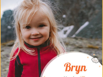 Bryn, denoting the hills