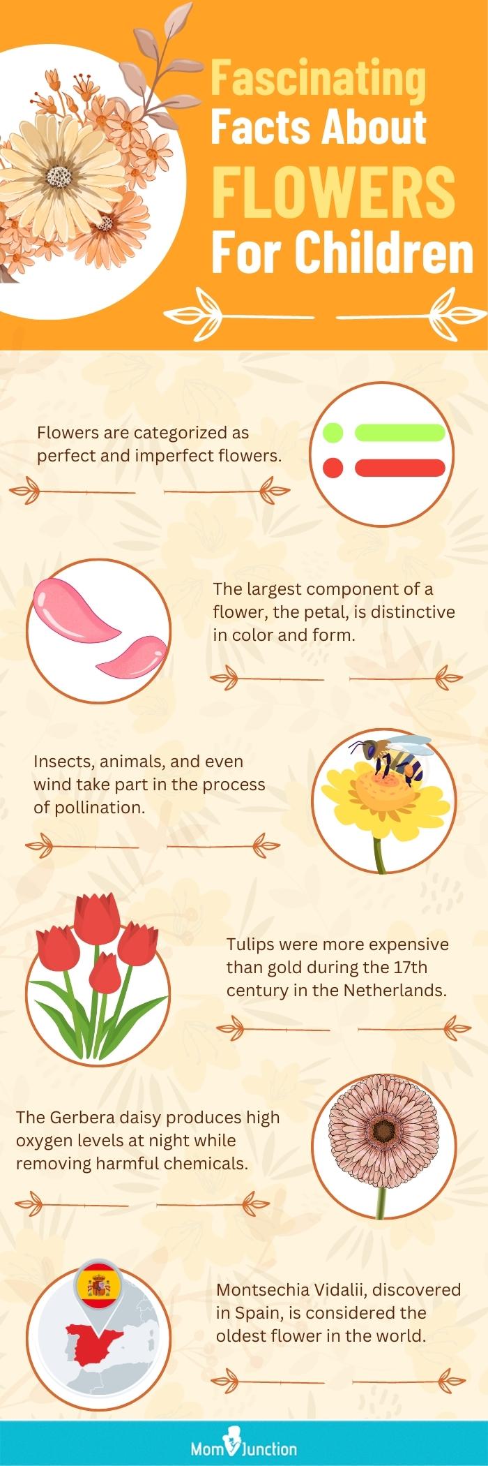 fascinating facts about flowers for children (infographic)