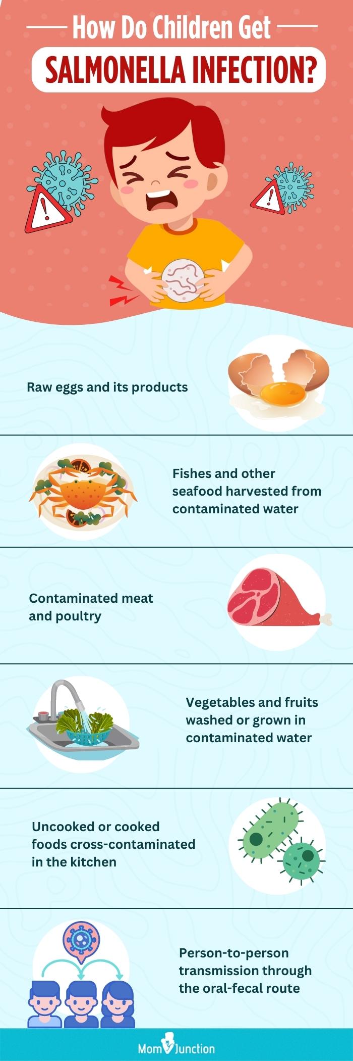 how do children get salmonella infection (infographic)