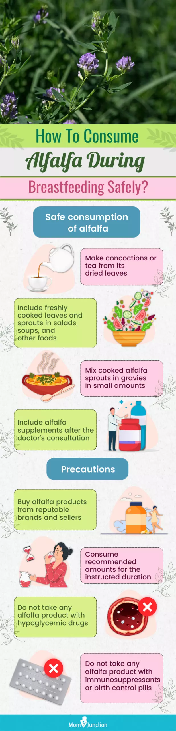 how to consume alfalfa during breastfeeding safely (infographic)