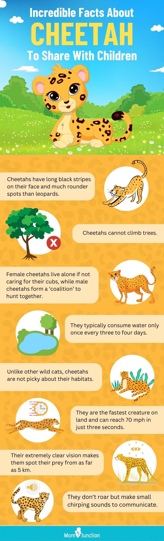 incredible facts about cheetah to share with children (infographic)