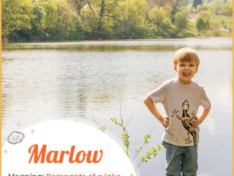Marlow, a name rooted in nature