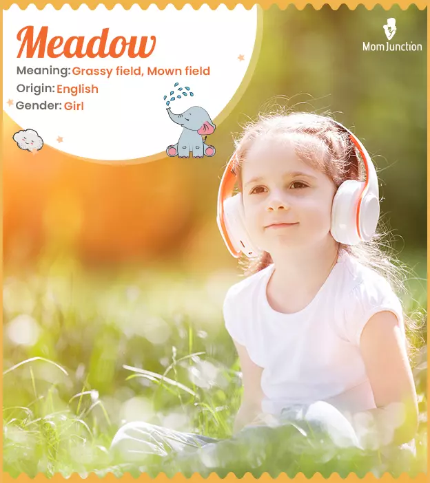 Meadow brings soft green fields to mind