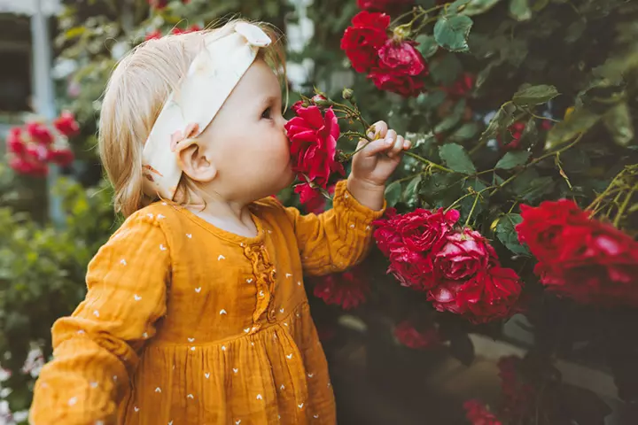 Perfect Symbolism Via Flowers