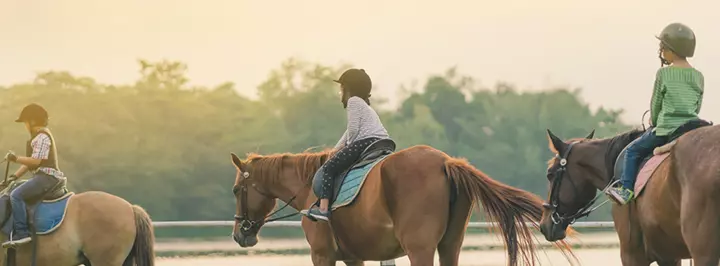 Risky Play Is Different From Reckless Play