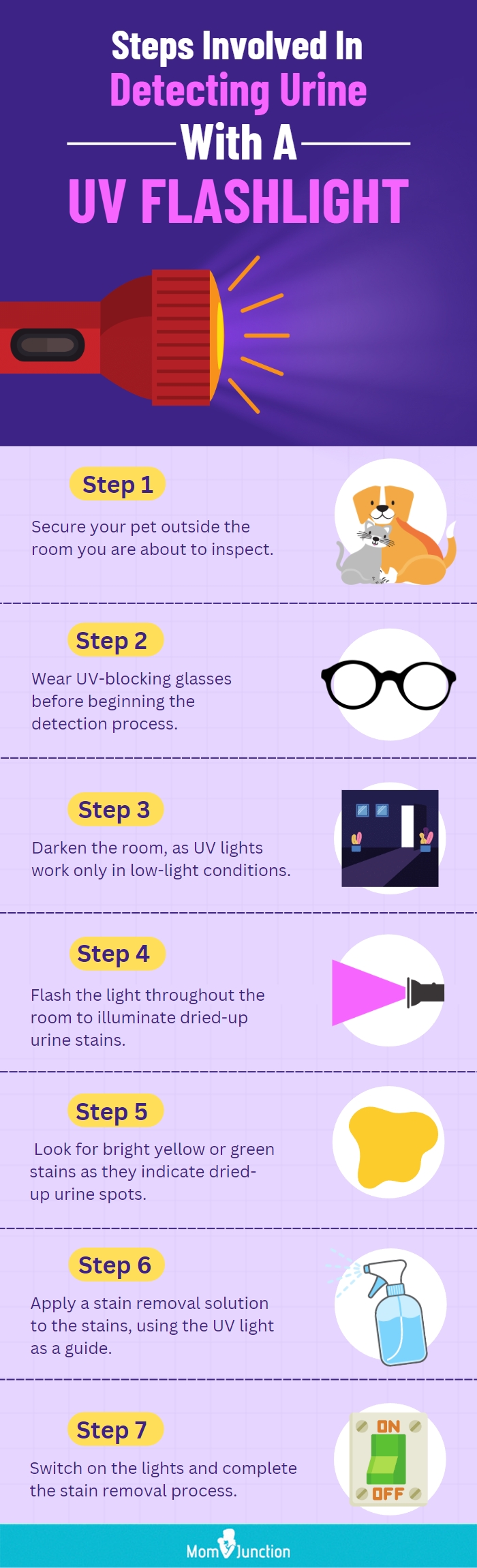 Steps Involved In Detecting Urine With A UV Flashlight (infographic)