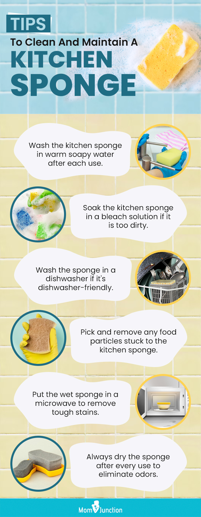 Tips To Clean And Maintain A Kitchen Sponge (infographic)