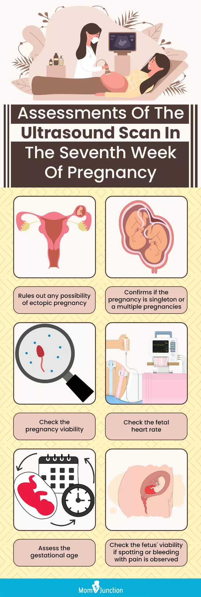 assessments of the ultrasound scan in the seventh week of pregnancy (infographic)