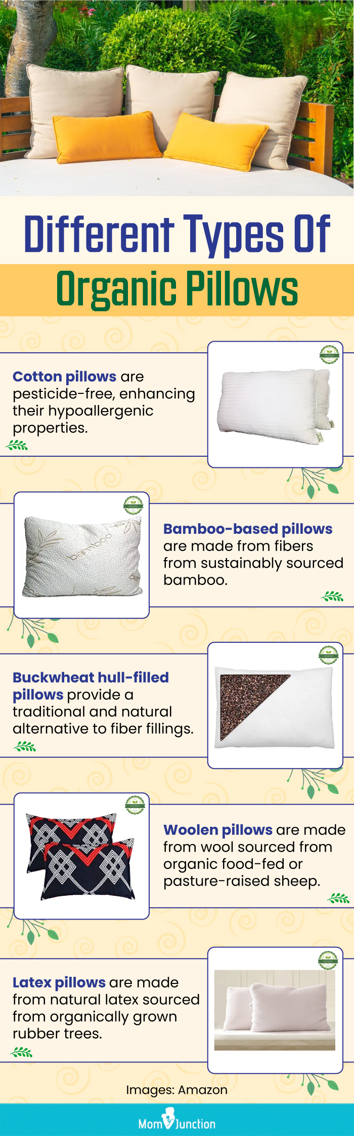 Different Types Of Organic Pillows (infographic)
