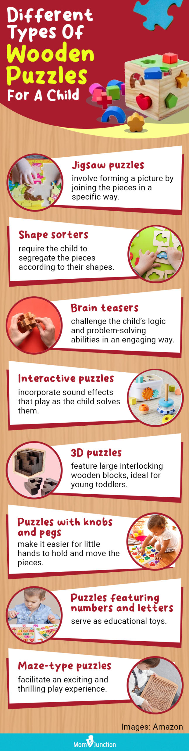 Different Types Of Wooden Puzzles For A Child (infographic)
