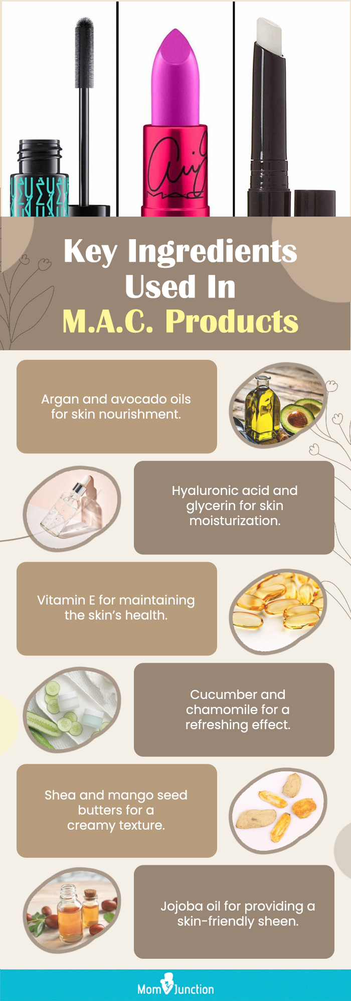 Key Ingredients Used In M.A.C (infographic)