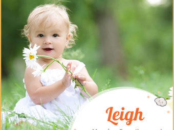 Leigh, means from the meadow