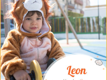 Leon, meaning lion
